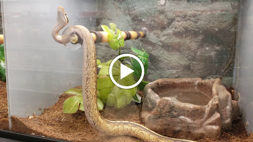 Pet Supply Store «Petco Animal Supplies», reviews and photos, 10 Waterfront Pl, Port Chester, NY 10573, USA