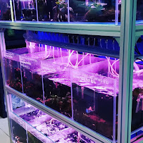 Kissena Aquarium Inc - Photo 8 - Car repair in Flushing, NY, Queens