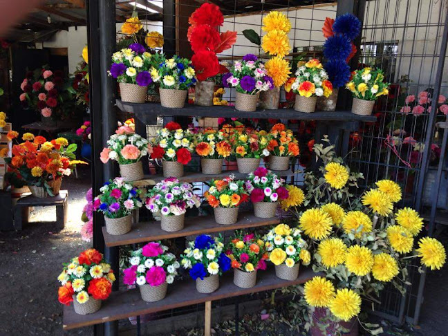 Flores De Madera SERVANDO CASTILLO