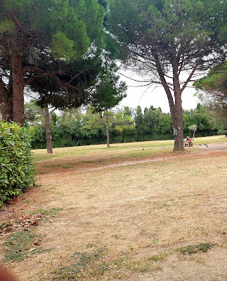 Clinique du Pré à Théza