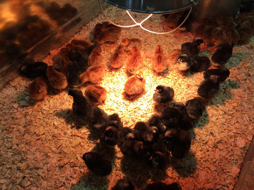 Agricultural Service «Farm Supply Company», reviews and photos, 224 Tank Farm Rd, San Luis Obispo, CA 93401, USA