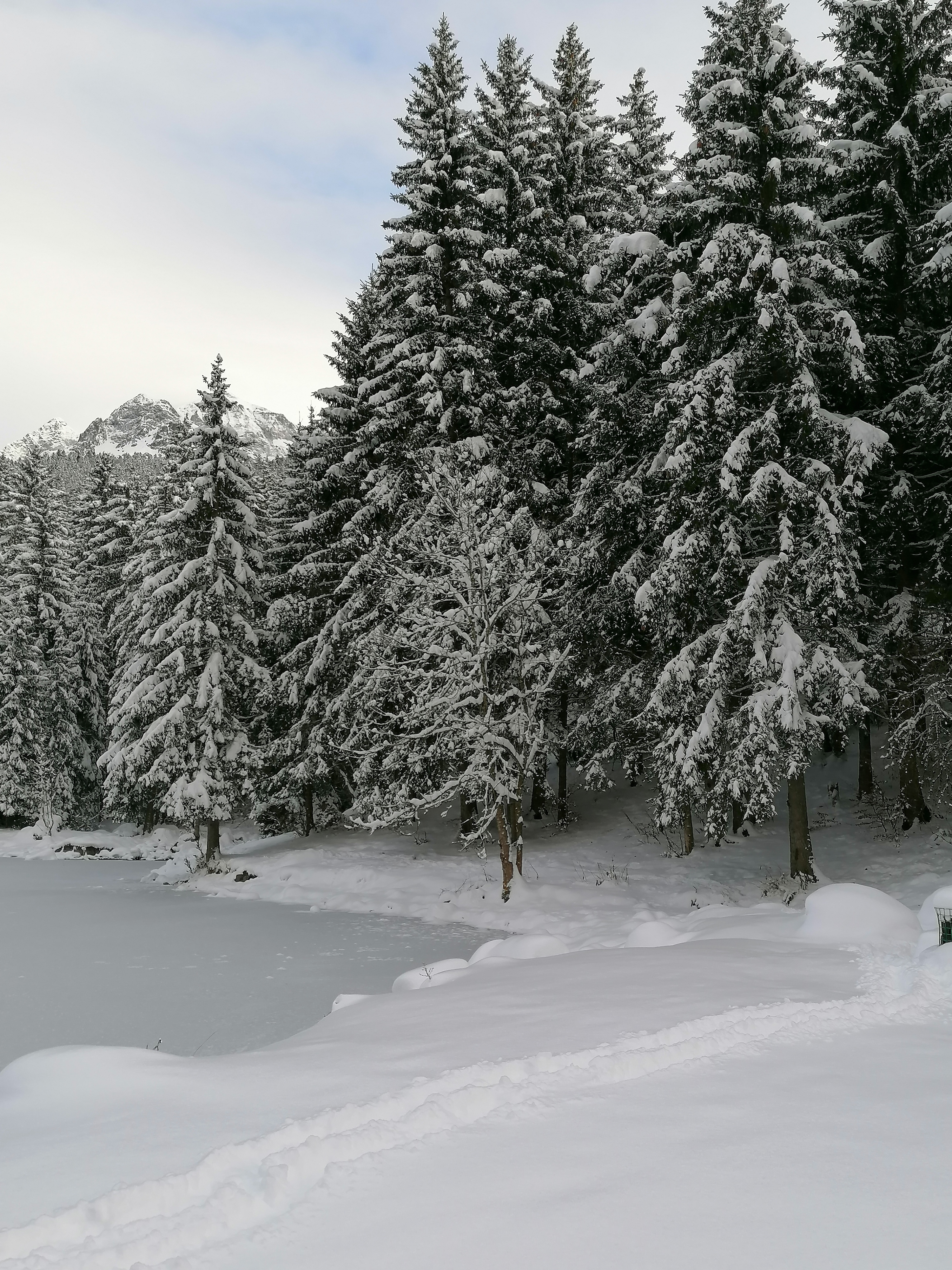 Photo n° 2 de l'avis de Françoise.a fait le 06/12/2021 à 08:01