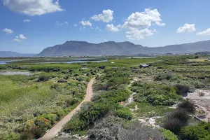 False Bay Nature Reserve - Rondevlei Bird Sanctuary image