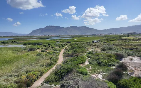 False Bay Nature Reserve - Rondevlei Bird Sanctuary image