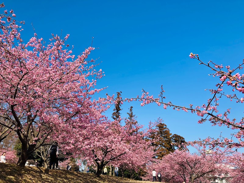 松ヶ崎城跡