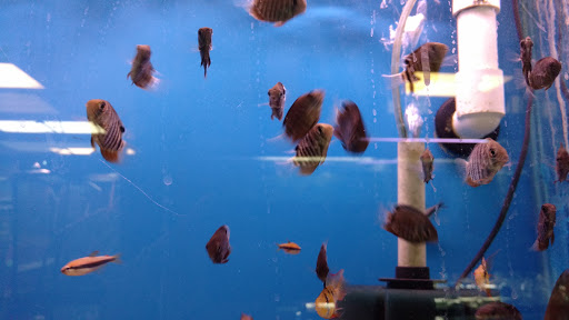 Shopping Mall «Chester Shopping Mall», reviews and photos, 23 W Main St, Chester, NJ 07930, USA