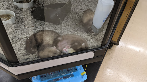 Pet Supply Store «Petco Animal Supplies», reviews and photos, 5631 Grove Blvd, Hoover, AL 35226, USA