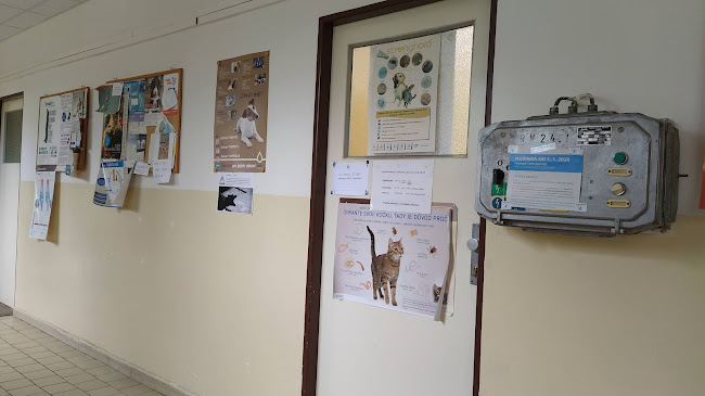 Recenze na Veterinární Ošetřovna Pro Malá Zvířata v Liberec - Veterinář
