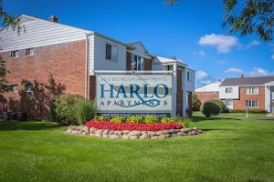 Harlo Apartments image