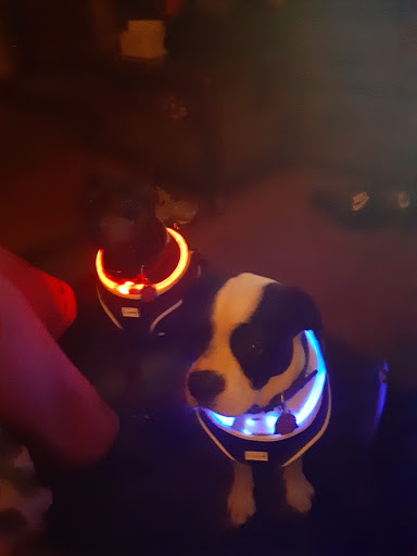 Pet Supply Store «Pet Supplies Plus», reviews and photos, 18610 W Bluemound Rd, Brookfield, WI 53045, USA