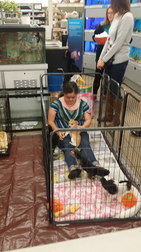 Pet Supply Store «Petco Animal Supplies», reviews and photos, 11398 Bandera Rd #403, San Antonio, TX 78250, USA