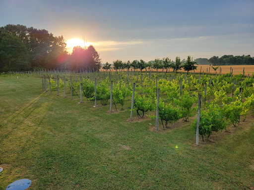 Vineyard «Sandhill Crane Vineyards», reviews and photos, 4724 Walz Rd, Jackson, MI 49201, USA