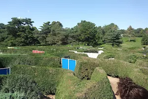 Maze Garden image