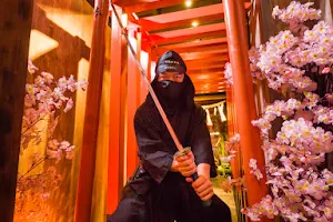 Ninja Trick House In Tokyo image