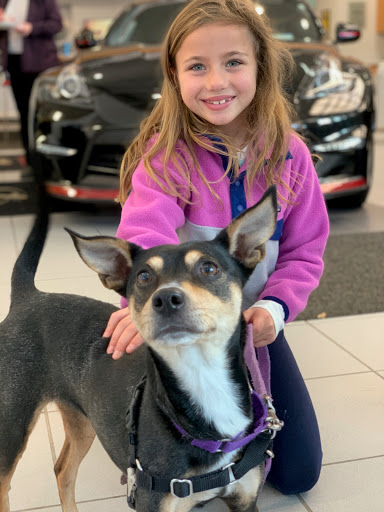 Nissan Dealer «Bruce Bennett Nissan», reviews and photos, 978 Danbury Rd, Wilton, CT 06897, USA