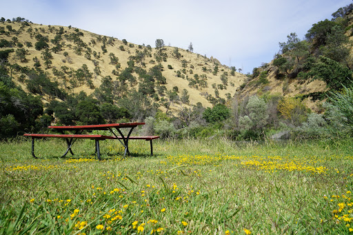 Nature Preserve «UC Davis - Stebbins Cold Canyon Natural Reserve», reviews and photos, CA-128, Winters, CA 95694, USA