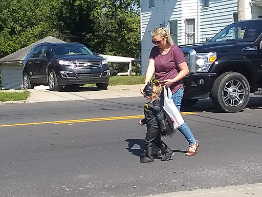 Auto Parts Store «NAPA Auto Parts - Carrollton Auto Parts Inc», reviews and photos, 618 Highland Ave, Carrollton, KY 41008, USA