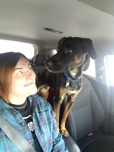 Pet Supply Store «Pet Supplies Plus», reviews and photos, 720 E Ogden Ave, Naperville, IL 60563, USA