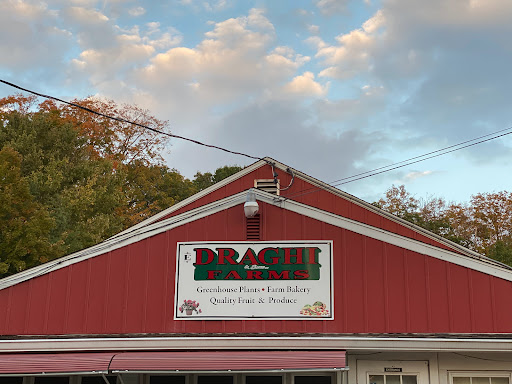 Produce Market «E Draghi & Son Farm Stand», reviews and photos, 86 Main St, South Glastonbury, CT 06073, USA