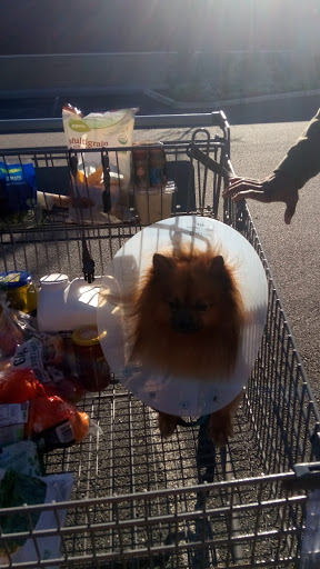 Supermarket «ALDI», reviews and photos, 451 Martin Truex Jr Blvd, Manahawkin, NJ 08050, USA