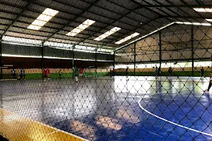 Lapangan Futsal Mandastana image