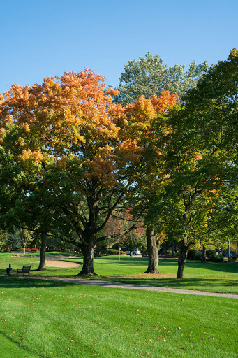Golf Club «Glencoe Golf Club», reviews and photos, 621 Westley Rd, Glencoe, IL 60022, USA
