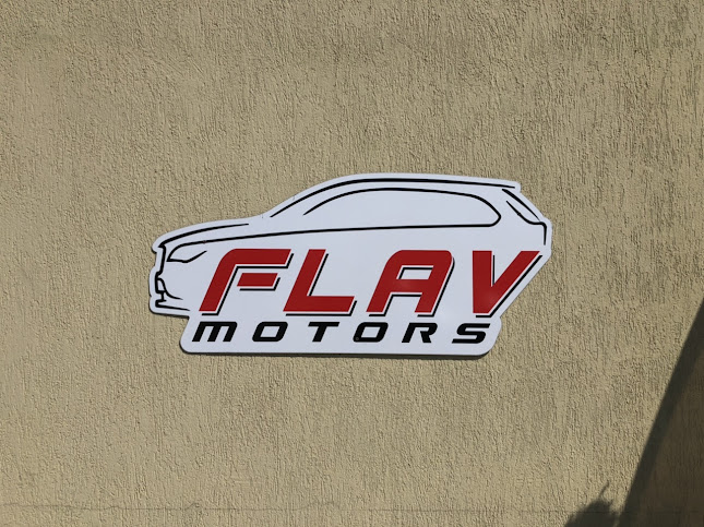 orar Flav Motors SRL