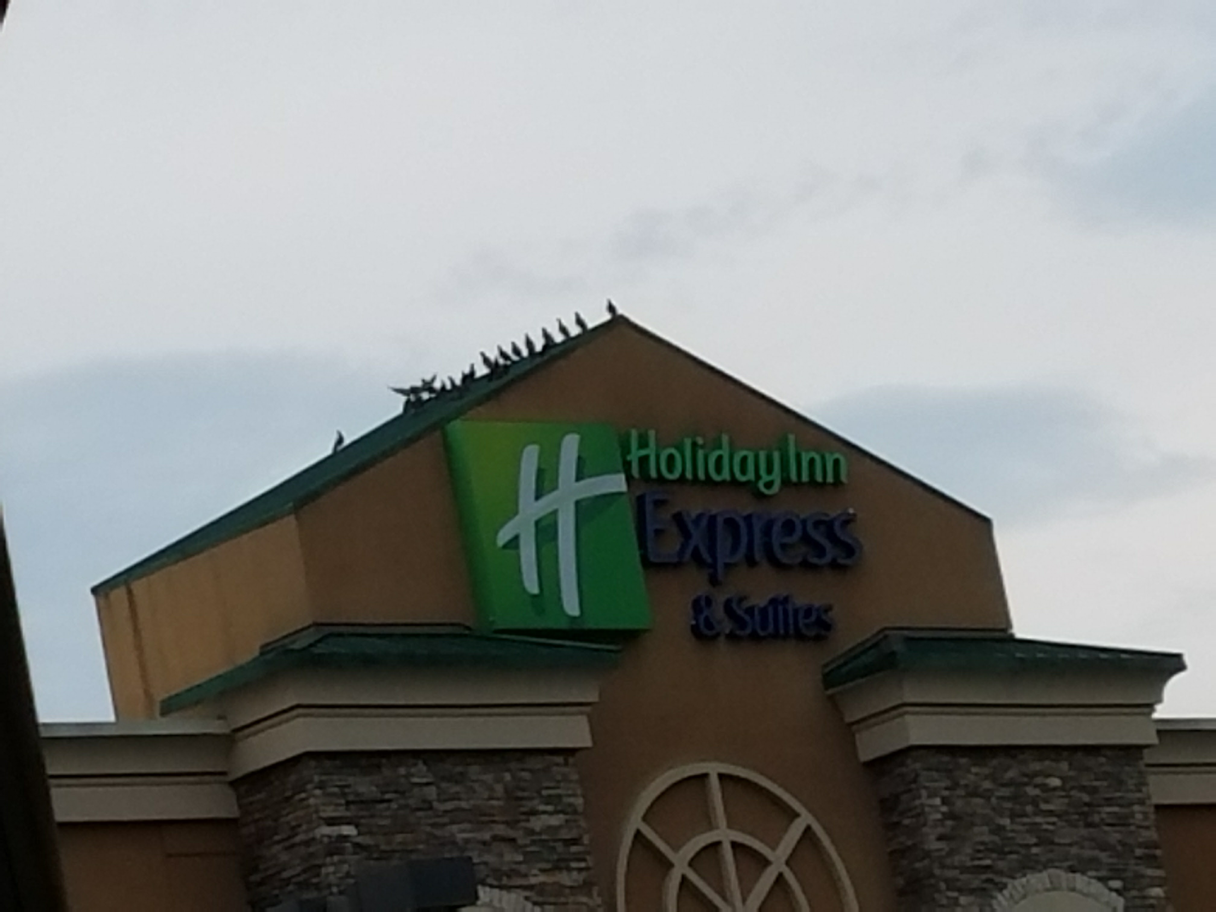 Picture of a place: Holiday Inn Express &amp; Suites Mount Airy