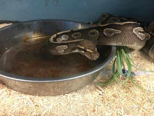 Pet Store «Fish City Pets», reviews and photos, 196 2nd St NW, Barberton, OH 44203, USA