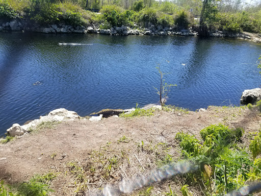 Nature Preserve «Big Cypress National Preserve», reviews and photos