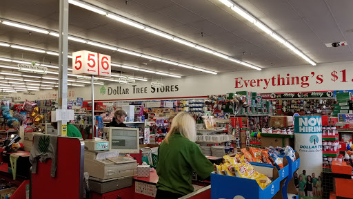 Dollar Store «Dollar Tree», reviews and photos, 505 N Ankeny Blvd, Ankeny, IA 50023, USA