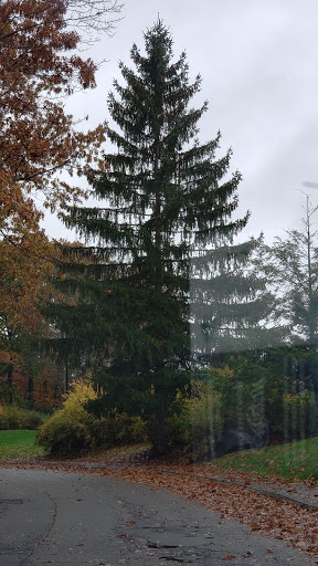 Country Club «Andover Country Club», reviews and photos, 60 Canterbury St, Andover, MA 01810, USA