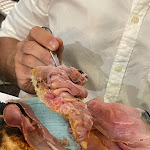 Photo n°5 de l'avis de Rachele.e fait le 19/09/2023 à 06:52 sur le  Pizzeria Da Ninni à Lucca