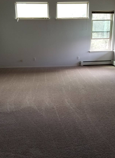 El Camino Carpet & Upholstery Cleaning