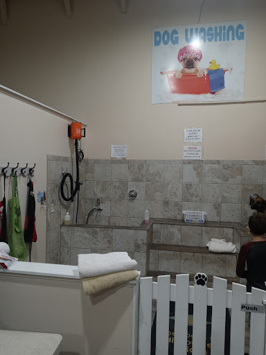 Pet Supply Store «The Natural Pet Outlet», reviews and photos, 3380 Fairfield Ave, Bridgeport, CT 06605, USA