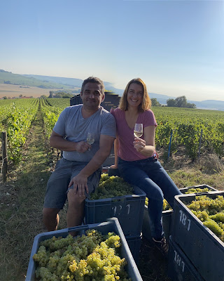 Le Clos Tryat Earl à Dormans