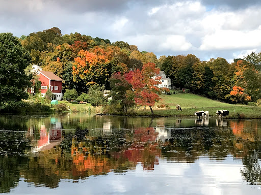 Convenience Store «Mill Pond Country Store», reviews and photos, 220 East St, Stafford Springs, CT 06076, USA