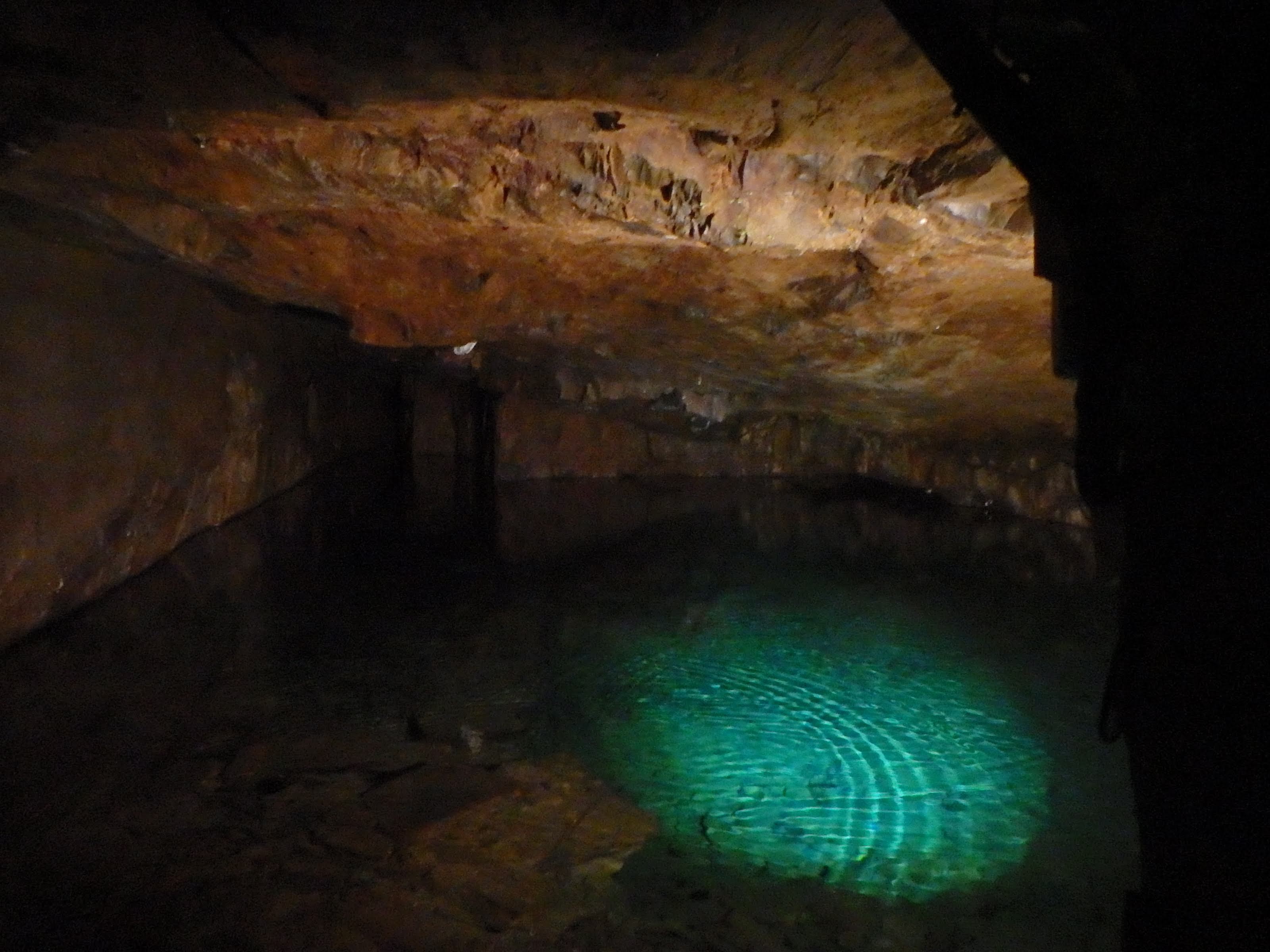 Photo n° 2 de l'avis de Julien.a fait le 03/08/2021 à 15:12