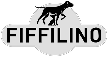 Fiffilino