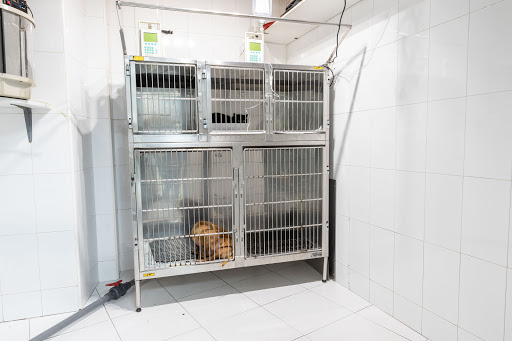 Hospital Veterinario Elkano 