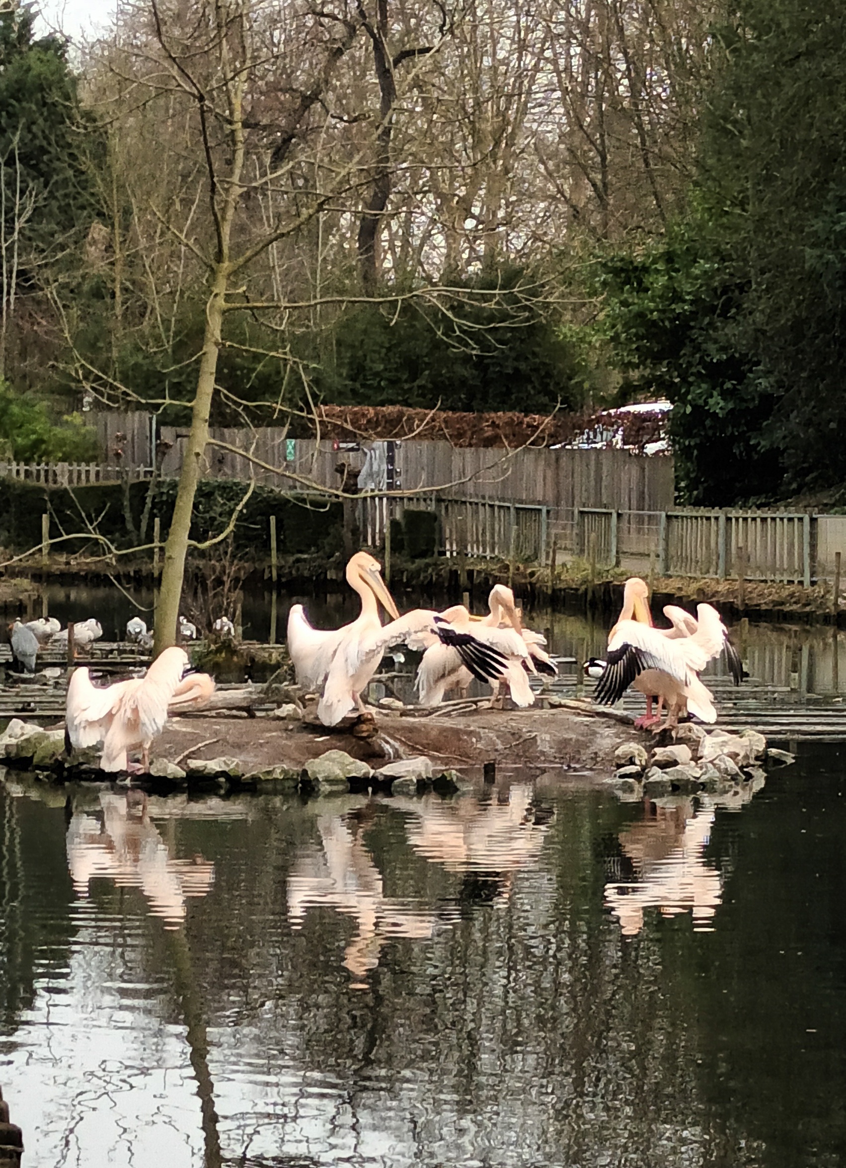 Photo n° 5 de l'avis de Audrey.e fait le 02/03/2022 à 18:32