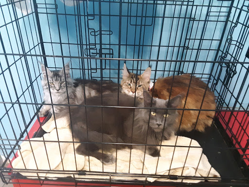 Pet Supply Store «Animal Kingdom of Santa Monica», reviews and photos, 300 Pico Blvd, Santa Monica, CA 90405, USA