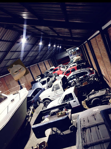 Opiniones de Total car taller automotriz accesorios y lubricantes en Viña del Mar - Taller de reparación de automóviles