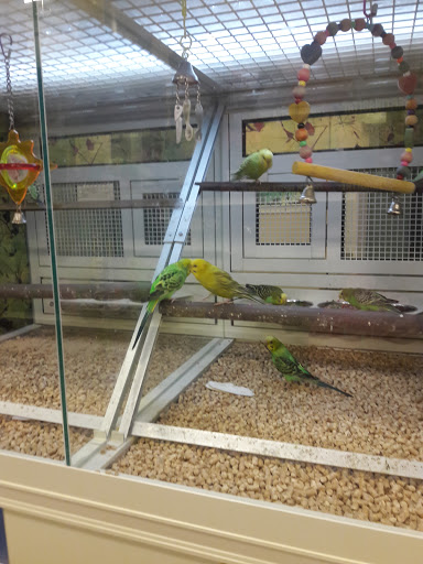 Pet Supply Store «PetSmart», reviews and photos, 13927 New Halls Ferry Road, Florissant, MO 63033, USA
