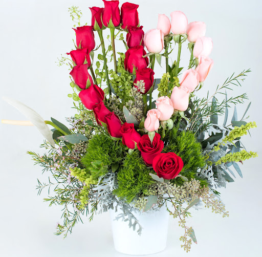 Florería Pina – Colima