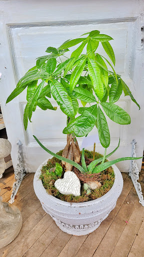 Florist «Buss Flower Shop», reviews and photos, 322 N Milwaukee Ave, Libertyville, IL 60048, USA