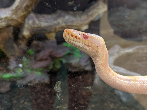 Pet Supply Store «Petco Animal Supplies», reviews and photos, 11639 S Pkwy Plaza Dr, South Jordan, UT 84095, USA