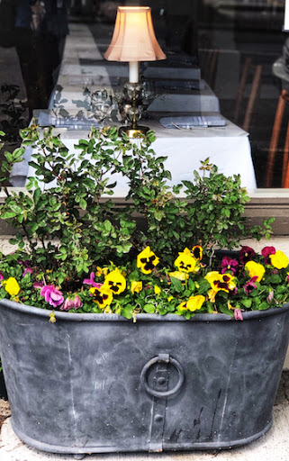 Fine Dining Restaurant «Chez Foushee», reviews and photos, 203 N Foushee St, Richmond, VA 23220, USA