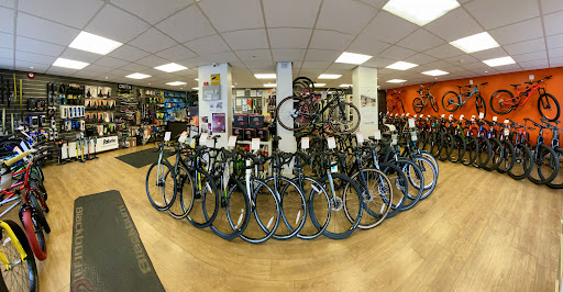Albany Cycles