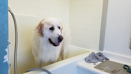 Rub-A-Dub Dog Bath